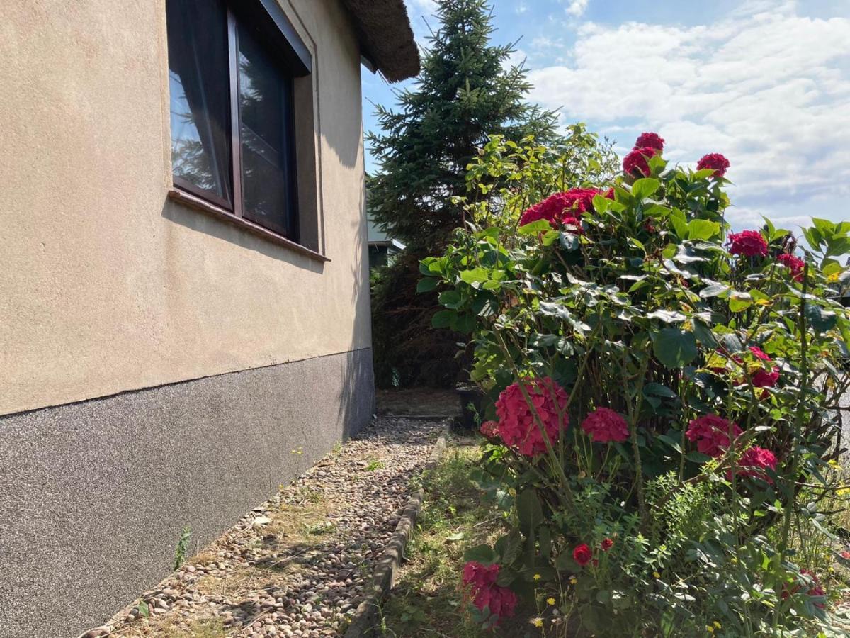 Ferienhaus Kuddel ツェンピン エクステリア 写真